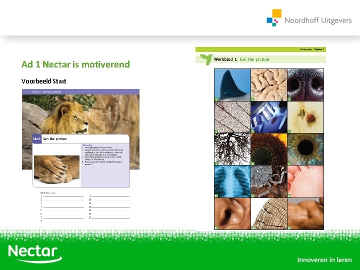 Ad 1 Nectar is motiverend Voorbeeld Start 