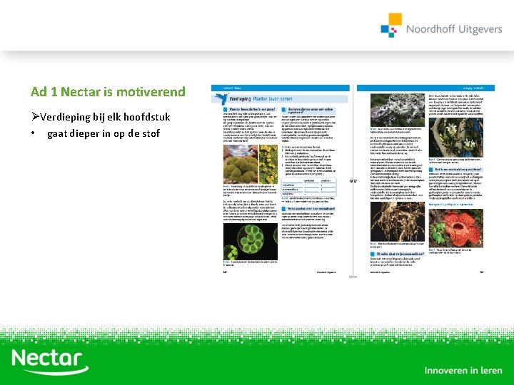 Ad 1 Nectar is motiverend ØVerdieping bij elk hoofdstuk • gaat dieper in op