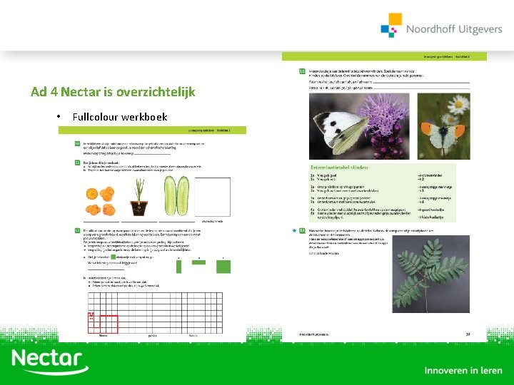 Ad 4 Nectar is overzichtelijk • Fullcolour werkboek 