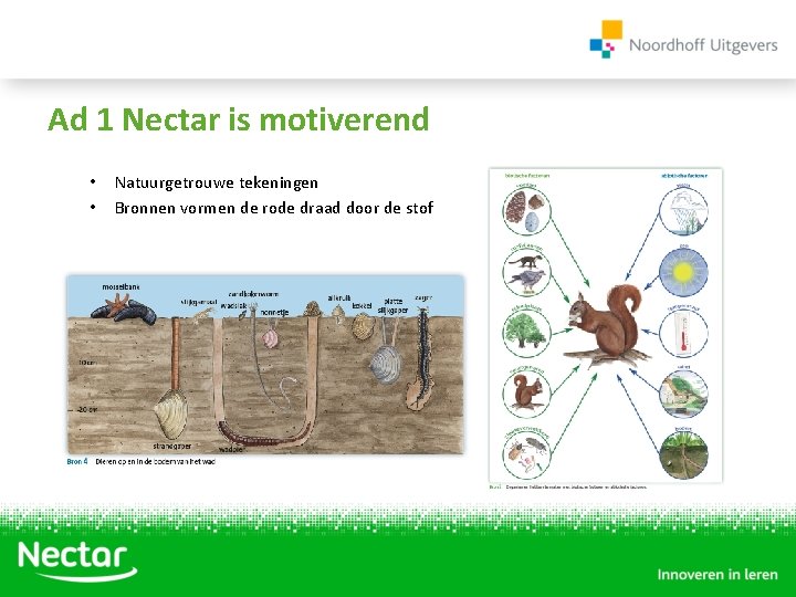 Ad 1 Nectar is motiverend • • Natuurgetrouwe tekeningen Bronnen vormen de rode draad