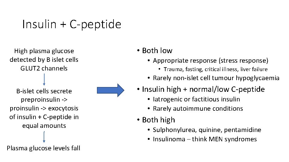 Insulin + C-peptide High plasma glucose detected by B islet cells GLUT 2 channels