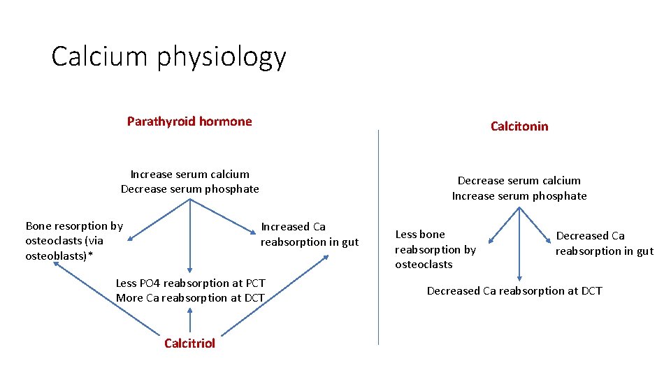 Calcium physiology Parathyroid hormone Calcitonin Increase serum calcium Decrease serum phosphate Bone resorption by
