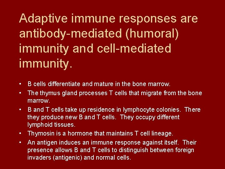 Adaptive immune responses are antibody-mediated (humoral) immunity and cell-mediated immunity. • B cells differentiate