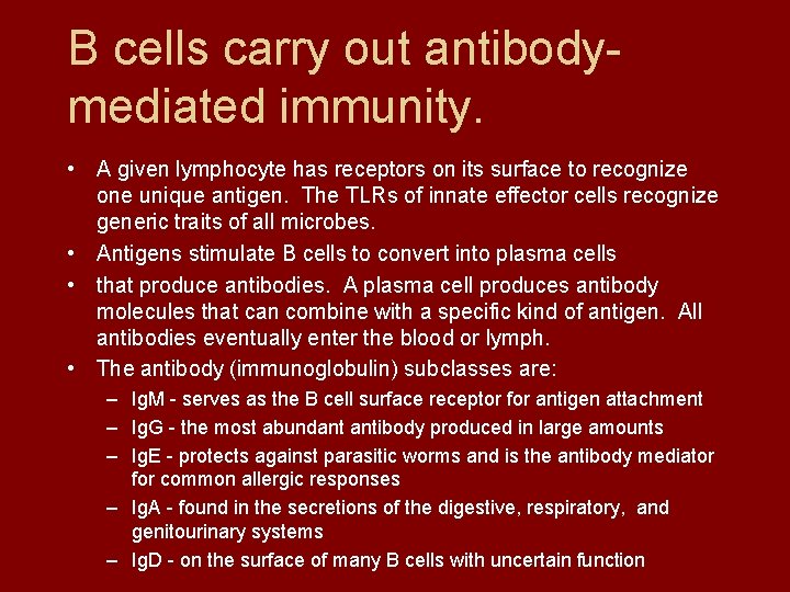 B cells carry out antibodymediated immunity. • A given lymphocyte has receptors on its