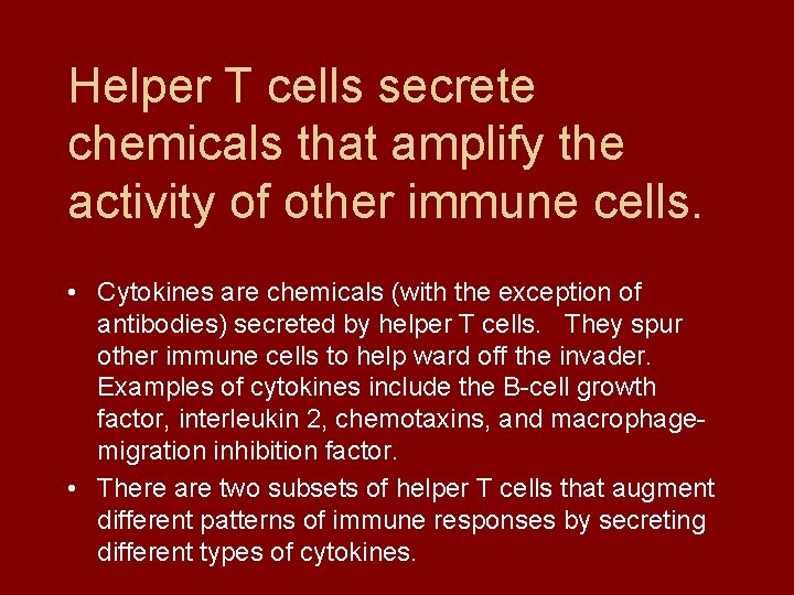 Helper T cells secrete chemicals that amplify the activity of other immune cells. •