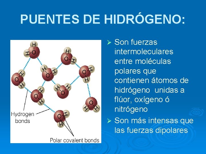 PUENTES DE HIDRÓGENO: Son fuerzas intermoleculares entre moléculas polares que contienen átomos de hidrógeno