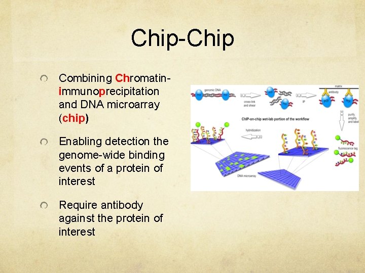 Chip-Chip Combining Chromatinimmunoprecipitation and DNA microarray (chip) Enabling detection the genome-wide binding events of