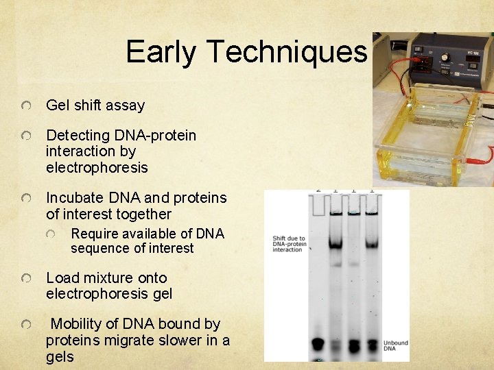 Early Techniques Gel shift assay Detecting DNA-protein interaction by electrophoresis Incubate DNA and proteins