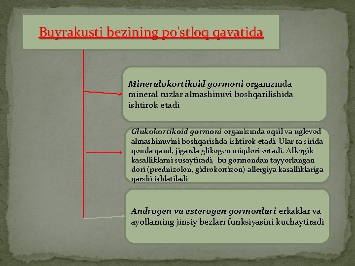 Buyrakusti bezining po'stloq qavatida Mineralokortikoid gormoni organizmda mineral tuzlar almashinuvi boshqarilishida ishtirok etadi Glukokortikoid