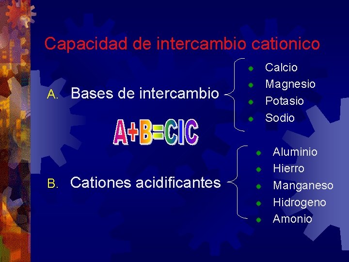 Capacidad de intercambio cationico Calcio Magnesio Potasio Sodio ® A. Bases de intercambio ®