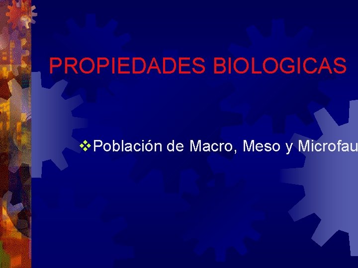PROPIEDADES BIOLOGICAS v. Población de Macro, Meso y Microfau 