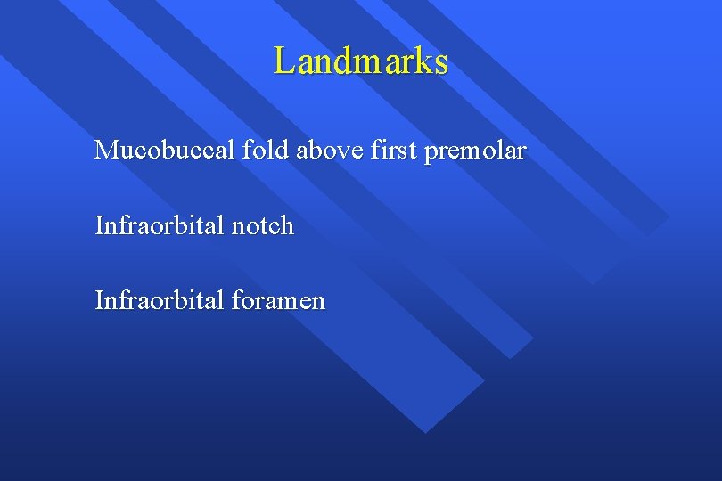 Landmarks Mucobuccal fold above first premolar Infraorbital notch Infraorbital foramen 