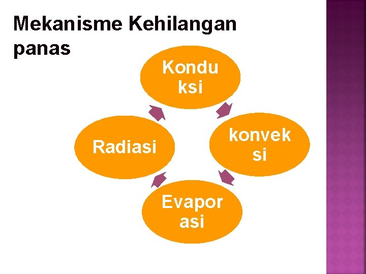 Mekanisme Kehilangan panas Kondu ksi konvek si Radiasi Evapor asi 
