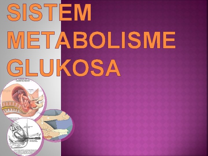 SISTEM METABOLISME GLUKOSA 