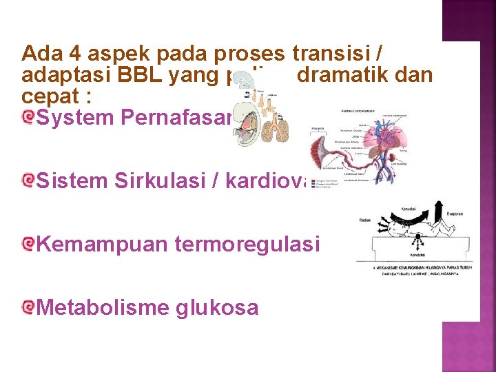 Ada 4 aspek pada proses transisi / adaptasi BBL yang paling dramatik dan cepat