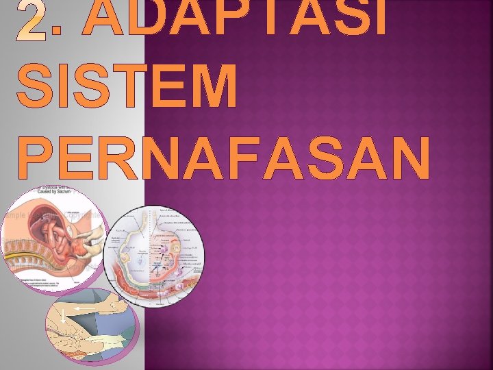 . ADAPTASI SISTEM PERNAFASAN 