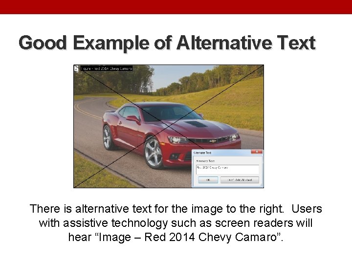 Good Example of Alternative Text There is alternative text for the image to the