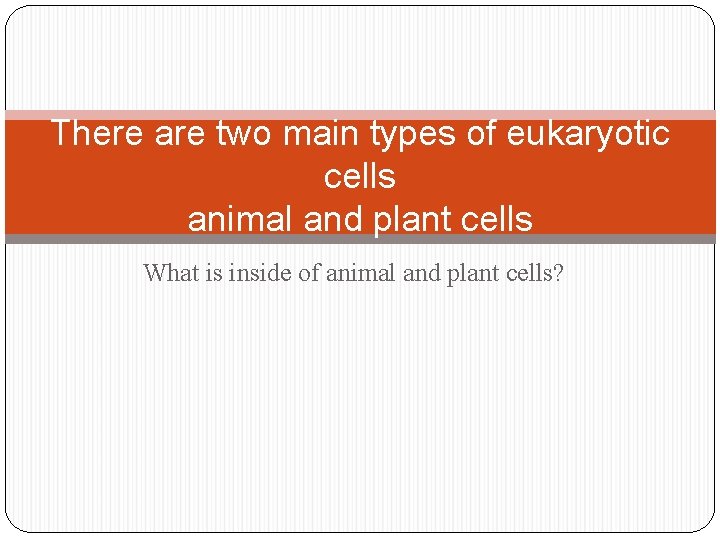 There are two main types of eukaryotic cells animal and plant cells What is