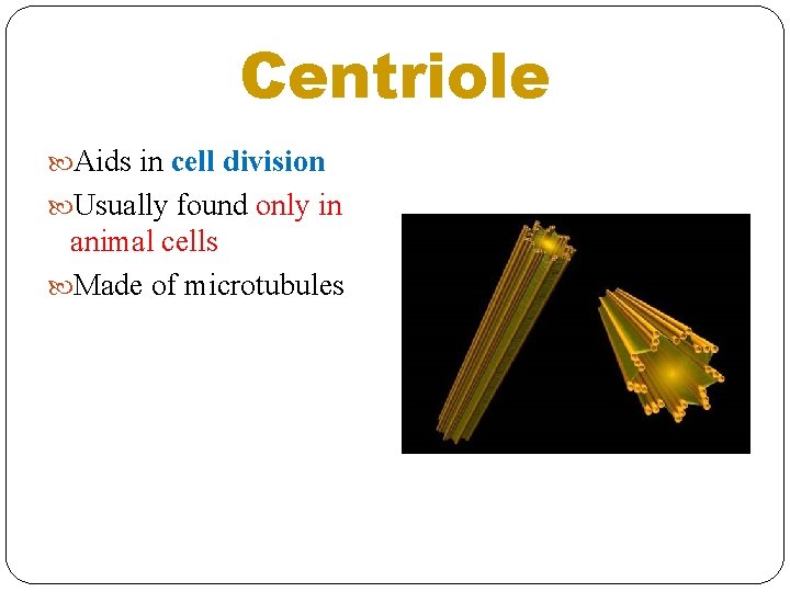 Centriole Aids in cell division Usually found only in animal cells Made of microtubules