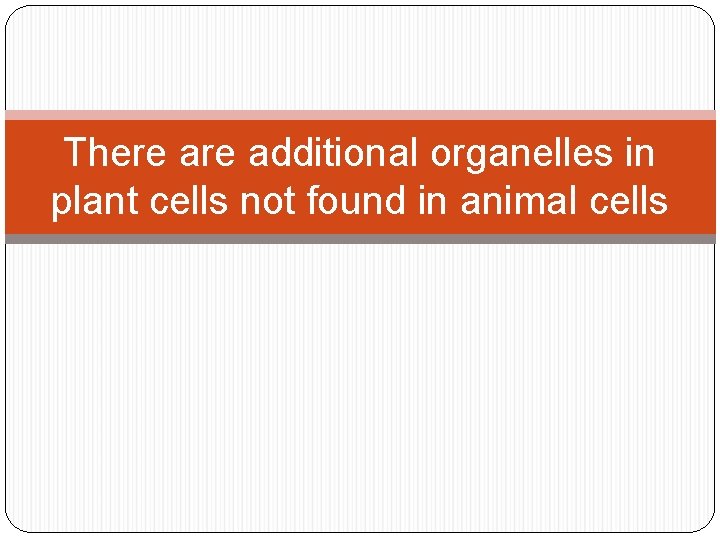 There additional organelles in plant cells not found in animal cells 