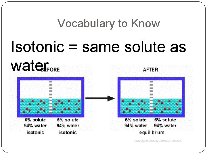 Vocabulary to Know Isotonic = same solute as water 