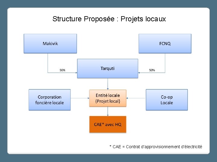 Structure Proposée : Projets locaux * CAE = Contrat d’approvisionnement d’électricité 