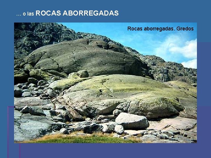 … o las ROCAS ABORREGADAS Rocas aborregadas. Gredos 