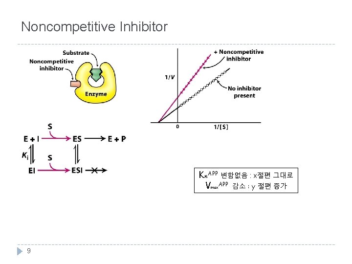 Noncompetitive Inhibitor KMAPP 변함없음 : x절편 그대로 Vmax. APP 감소 : y 절편 증가