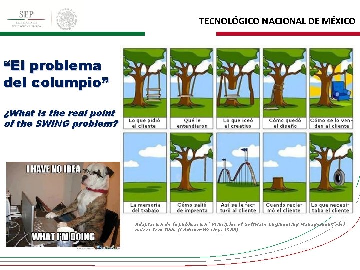 TECNOLÓGICO NACIONAL DE MÉXICO “El problema del columpio” ¿What is the real point of