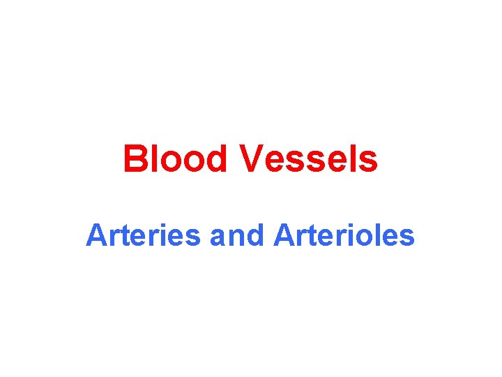 Blood Vessels Arteries and Arterioles 