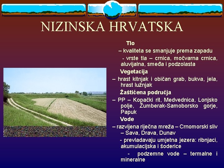 NIZINSKA HRVATSKA Tlo – kvaliteta se smanjuje prema zapadu - vrste tla – crnica,