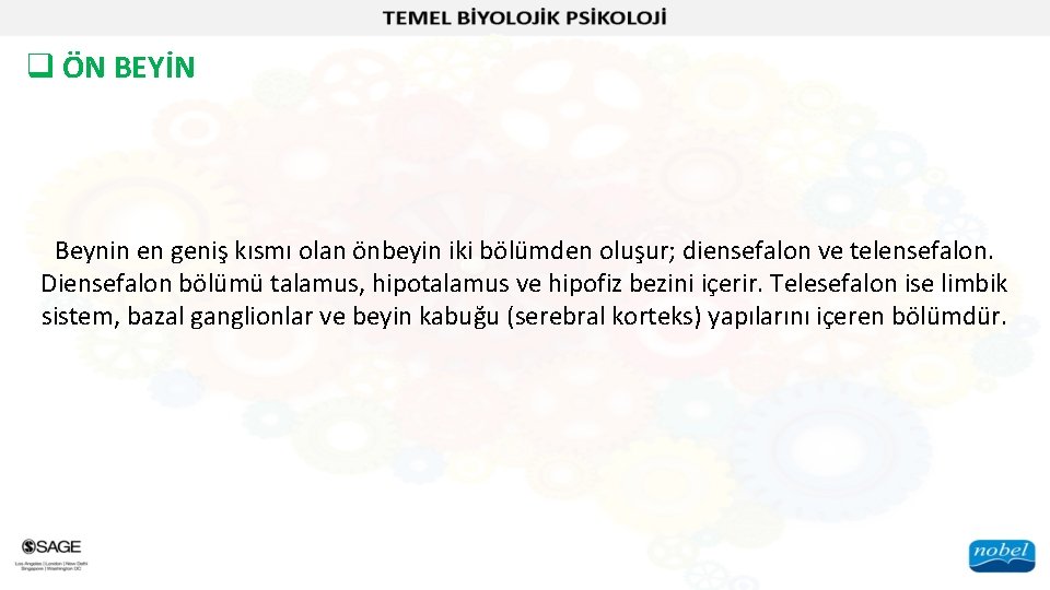 q ÖN BEYİN Beynin en geniş kısmı olan önbeyin iki bölümden oluşur; diensefalon ve