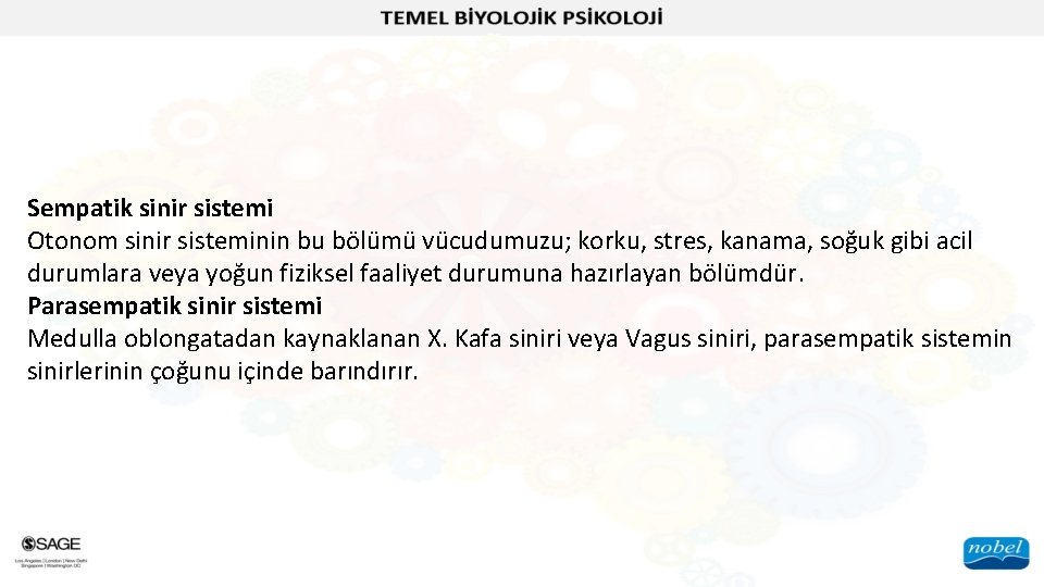 Sempatik sinir sistemi Otonom sinir sisteminin bu bölümü vücudumuzu; korku, stres, kanama, soğuk gibi