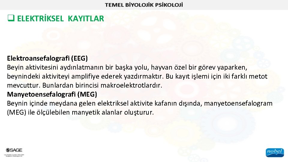 q ELEKTRİKSEL KAYITLAR Elektroansefalografi (EEG) Beyin aktivitesini aydınlatmanın bir başka yolu, hayvan özel bir