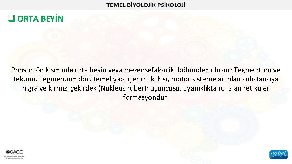 q ORTA BEYİN Ponsun ön kısmında orta beyin veya mezensefalon iki bölümden oluşur: Tegmentum