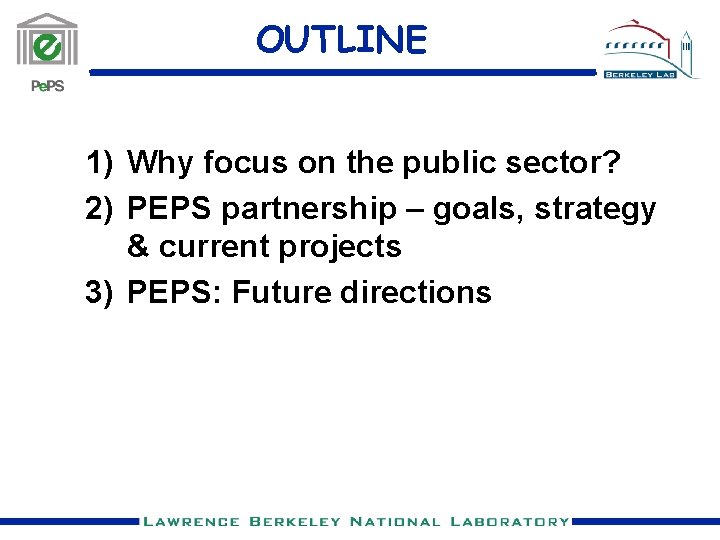OUTLINE 1) Why focus on the public sector? 2) PEPS partnership – goals, strategy