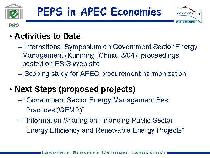 PEPS in APEC Economies • Activities to Date – International Symposium on Government Sector