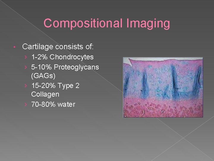 Compositional Imaging • Cartilage consists of: › 1 -2% Chondrocytes › 5 -10% Proteoglycans