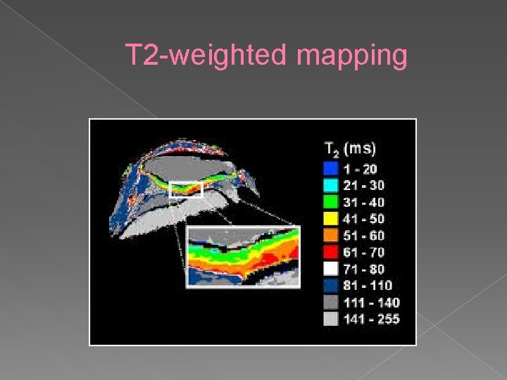 T 2 -weighted mapping 