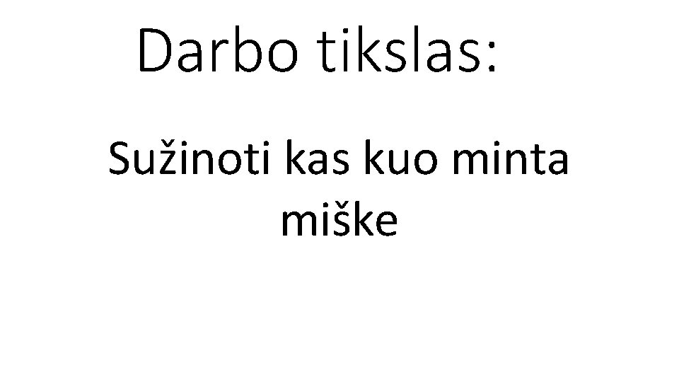 Darbo tikslas: Sužinoti kas kuo minta miške 