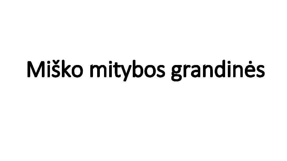 Miško mitybos grandinės 