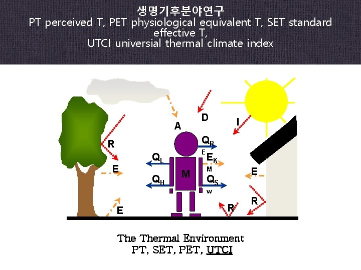 생명기후분야연구 PT perceived T, PET physiological equivalent T, SET standard effective T, UTCI universial