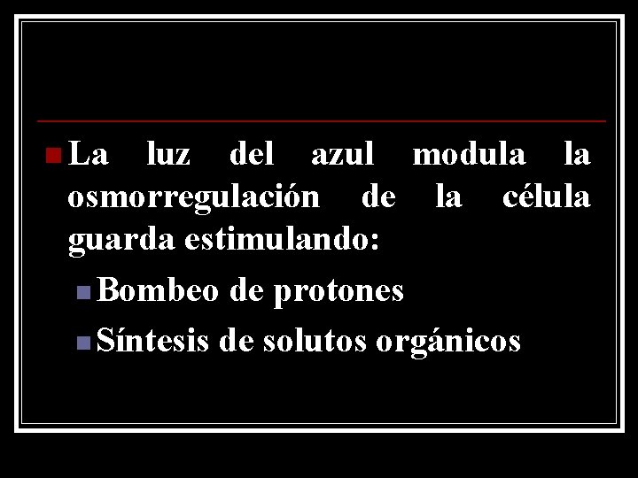 n La luz del azul modula la osmorregulación de la célula guarda estimulando: n