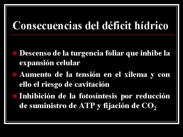 Consecuencias del déficit hídrico Descenso de la turgencia foliar que inhibe la expansión celular