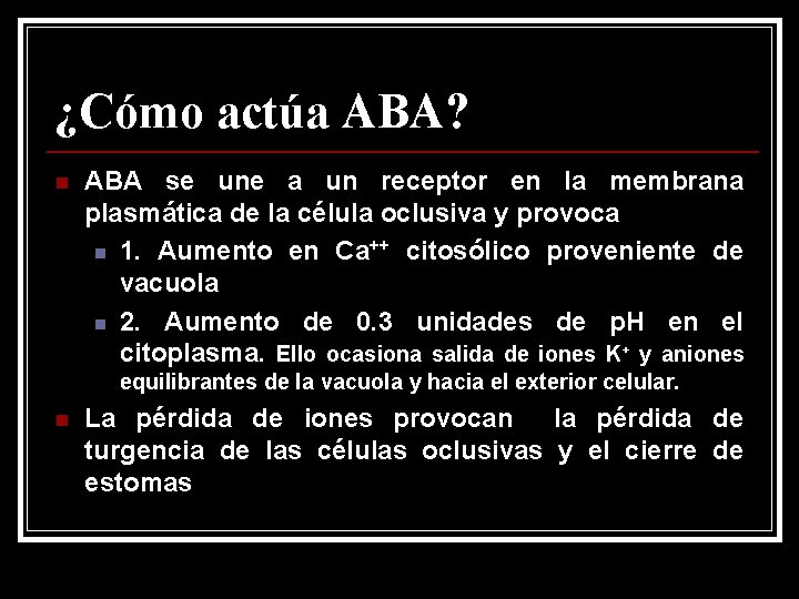 ¿Cómo actúa ABA? n ABA se une a un receptor en la membrana plasmática