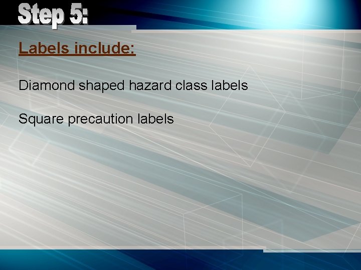 Labels include: Diamond shaped hazard class labels Square precaution labels 