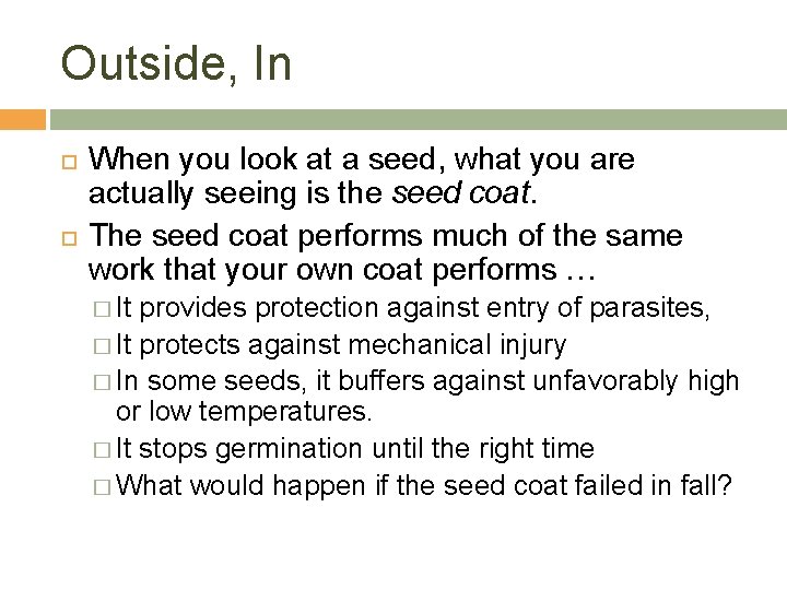 Outside, In When you look at a seed, what you are actually seeing is