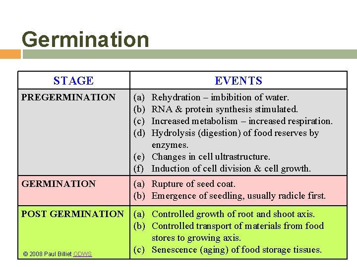 Germination STAGE EVENTS PREGERMINATION (a) (b) (c) (d) GERMINATION (a) Rupture of seed coat.