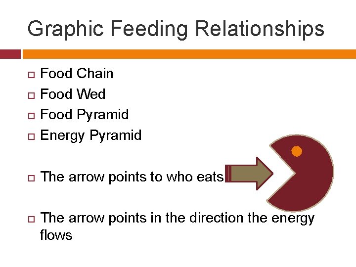 Graphic Feeding Relationships Food Chain Food Wed Food Pyramid Energy Pyramid The arrow points