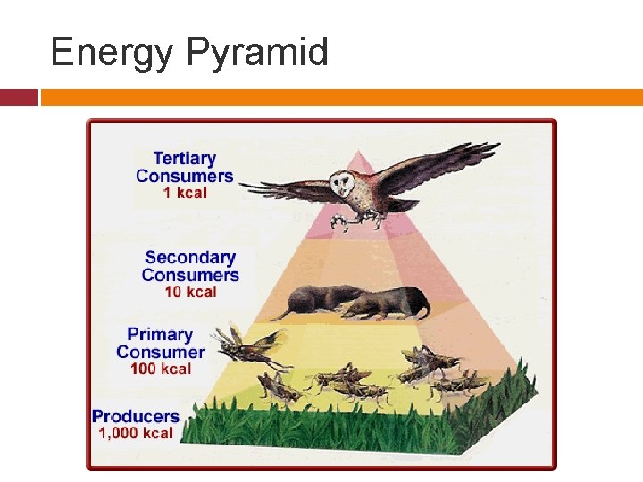 Energy Pyramid 